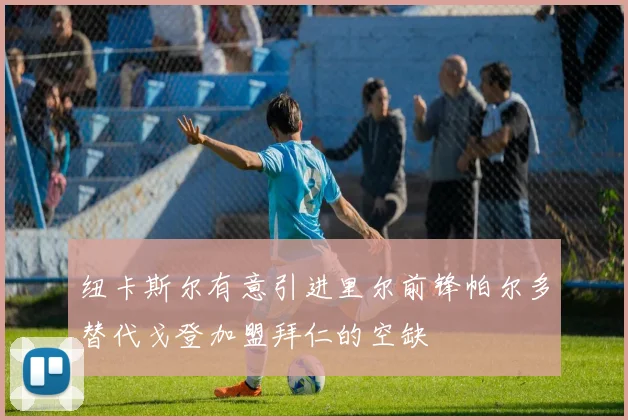 纽卡斯尔有意引进里尔前锋帕尔多替代戈登加盟拜仁的空缺